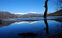 Lago Piccolo di Avigliana ghiacciato_059